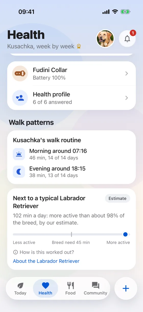 Walk routine compared with the breed