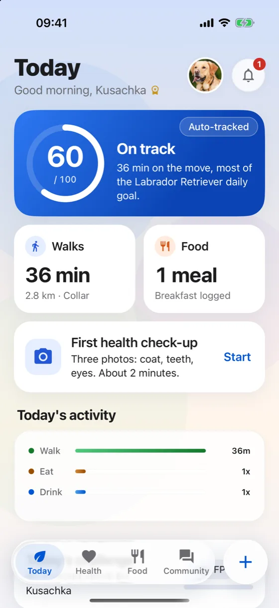 Today screen with the daily score