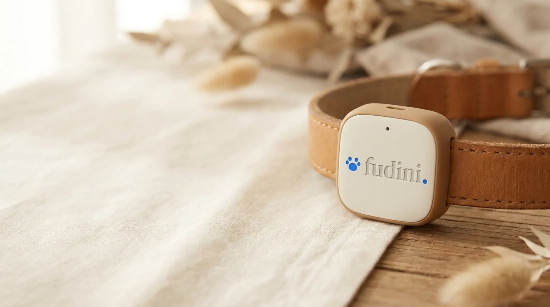 The Fudini collar module, branded with the fudini wordmark, threaded onto a leather collar strap.