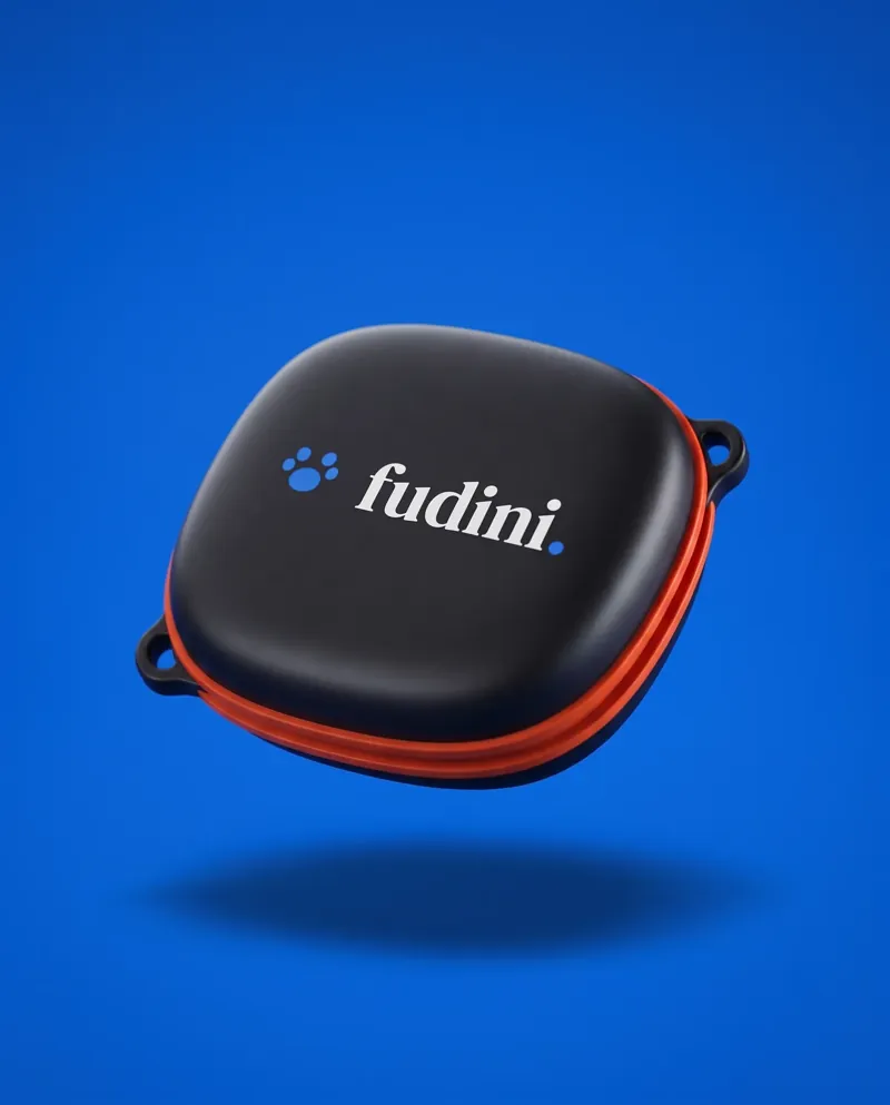 Concept render — production case